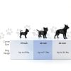 MidWest Hard Sided Pet Carrier Durable Easy Clean Travel-5