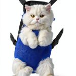Mingxing Pet Carrier Backpack Lightweight Durable Dog Travel-0