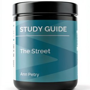 Kindle Study Guide English Book Notes 68 Pages-0
