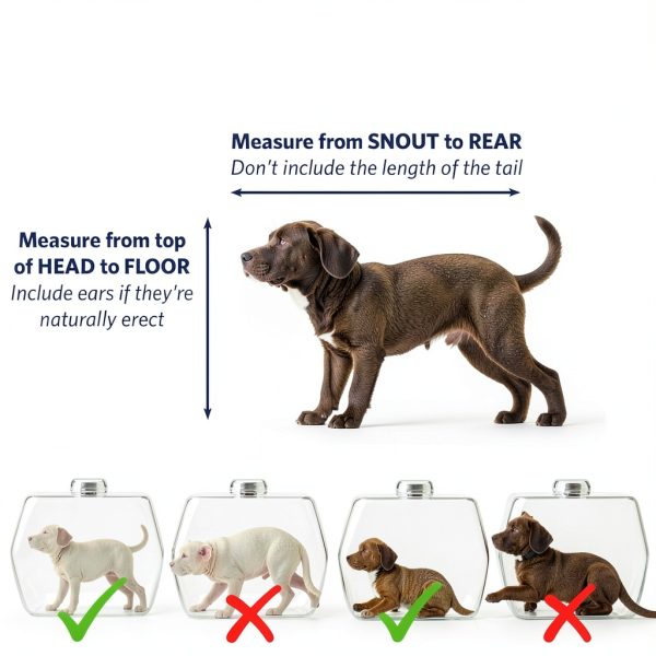 MidWest Hard Sided Pet Carrier Durable Easy Clean Travel-6
