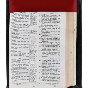 Bible Summary eBook Christian Study Guide English Language-0