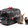 Ferplast Jet Hard Sided Pet Carrier for Small Dogs and Cats-5