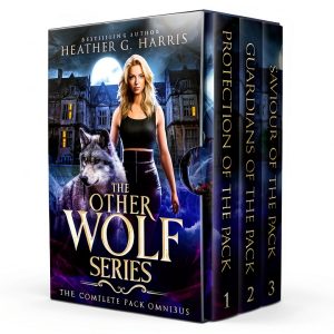 The Other Realm Omnibus Book 2 Fantasy Anthology by Heather G Harris-0