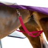 Half Way Elastic Horse Leg Straps Harrison Howard Rose Pink XL-1